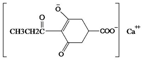 圖片2